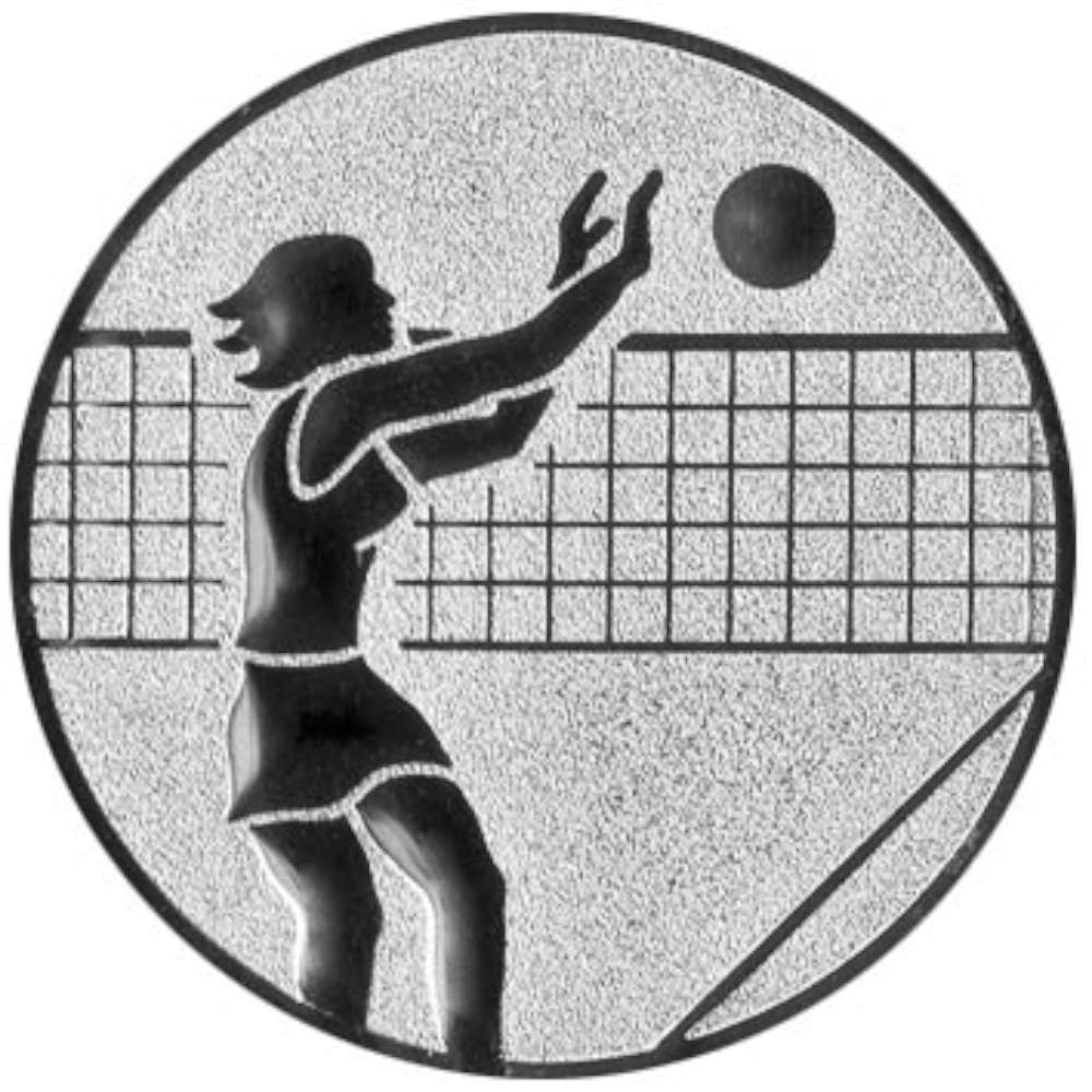 Aluminium Emblem Volleyball Damen