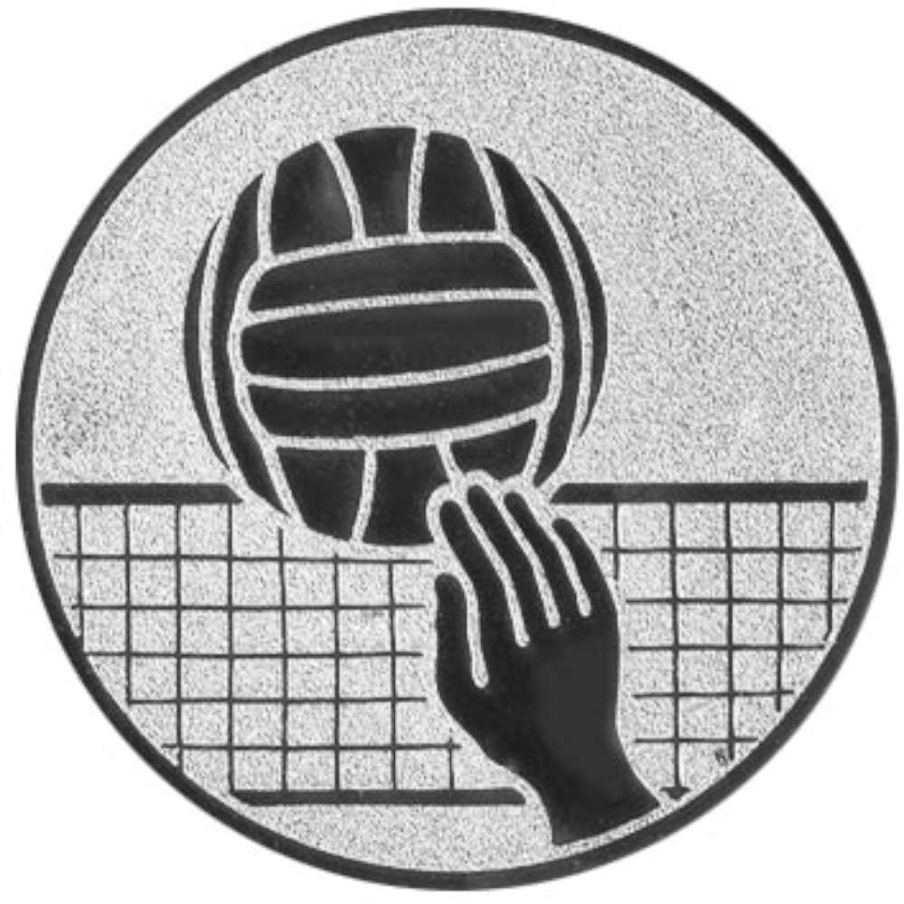 Aluminium Emblem Volleyball