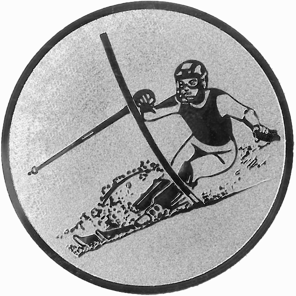 Aluminium Emblem Ski Abfahrt