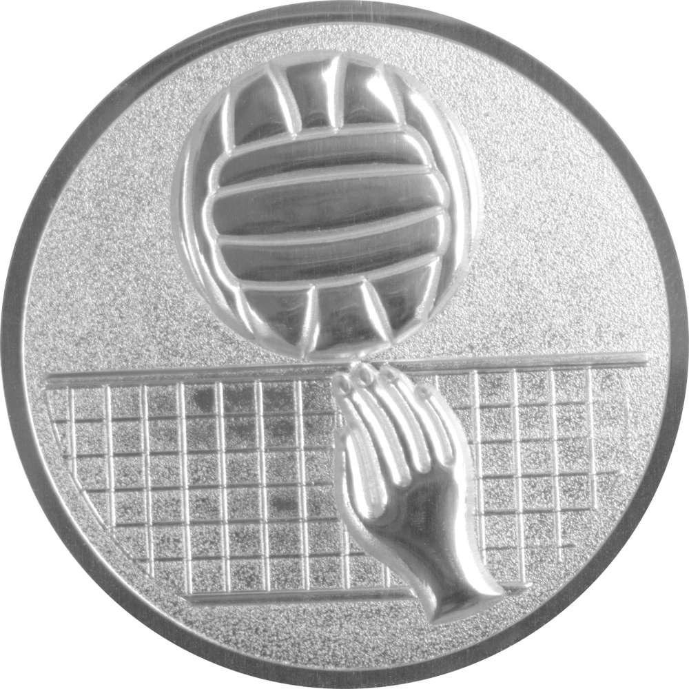 Aluminium Emblem Volleyball 3D